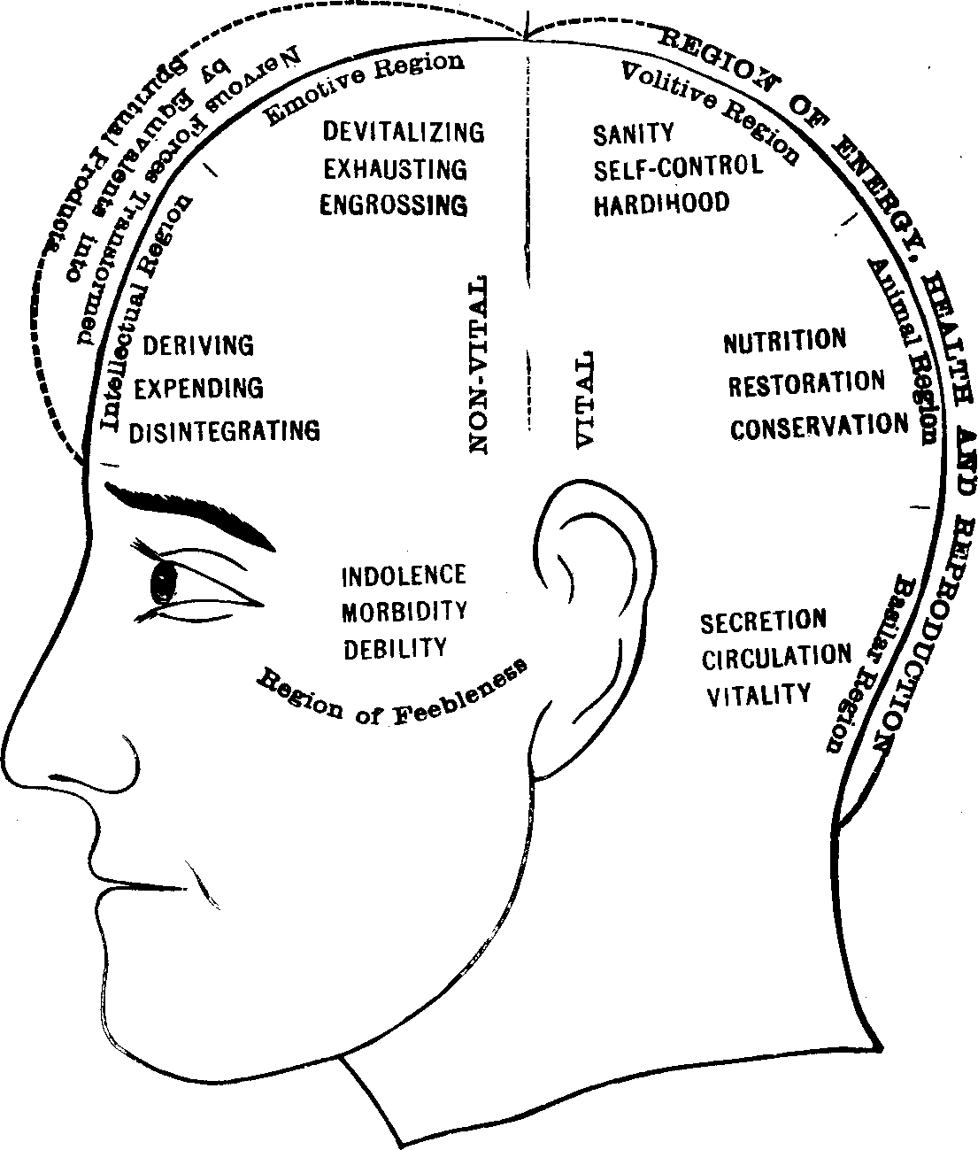 Illustration:
Fig. 79