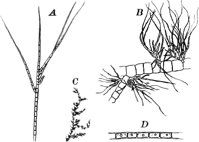Fig.&nbsp;14.