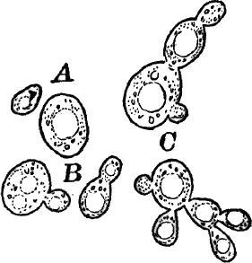 Fig.&nbsp;37.