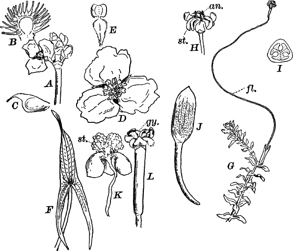 Fig.&nbsp;91.
