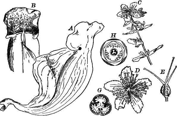 Fig.&nbsp;105.