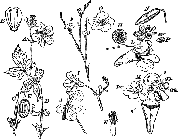 Fig.&nbsp;107.