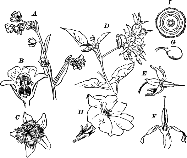 Fig.&nbsp;119.