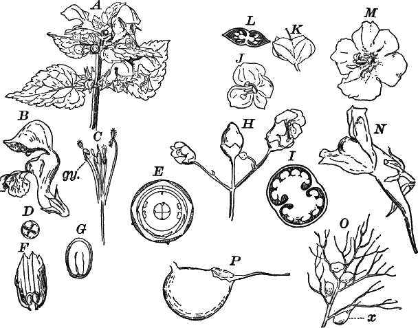 Fig.&nbsp;120.