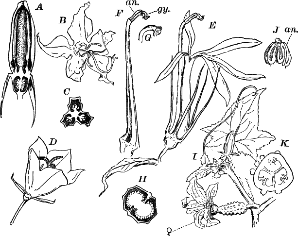 Fig.&nbsp;123.