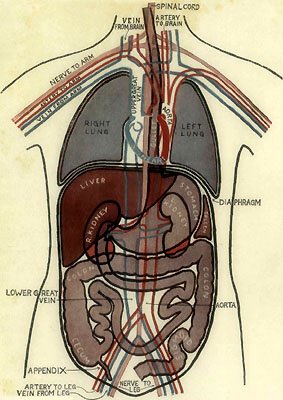 OUTLINE DIAGRAM SHOWING GENERAL PLAN AND POSITION OF
BODY-MACHINERY