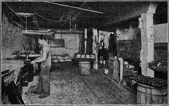 A BASEMENT BAKERY&mdash;A MENACE TO THE PUBLIC HEALTH