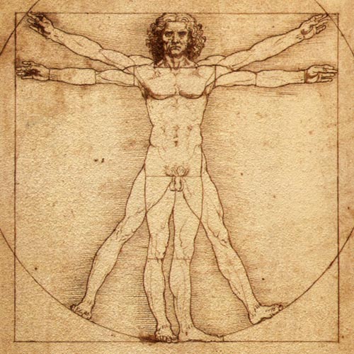 anatomical-man